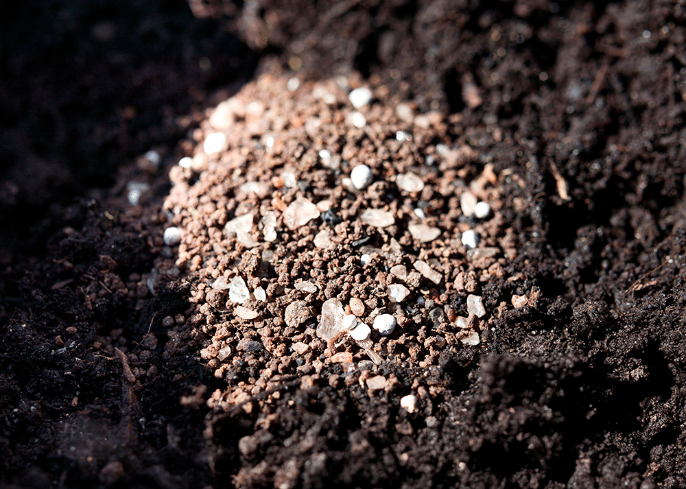 Granular fertilizer on soil. Fertilizer in hole before planting a plant or transplanting. Fertilizer on soil - River Bottom Nursery