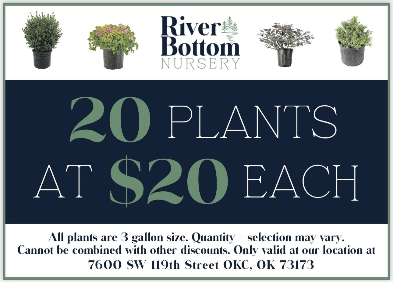 20 plants for$20 each plants graphic - River Bottom Nursery