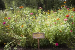 Lauritzen Gardens, Omaha, Nebraska, pollinator garden. Bright flowers attract hummingbirds, butterflies, bees and other pollinators in the garden. A sign marks the location. Pollinator Friendly Garden - Riverbottom Nursery