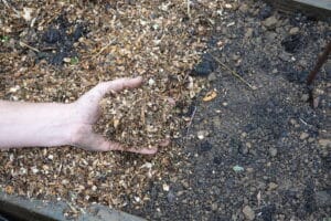 Man hand holds wood scraps for mulching in the vegetable garden. Getting Your Garden Winter Ready Essential Winter Prep Tips - River Bottom Nursery